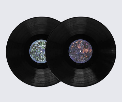 Ori and the Blind Forest 2xLP