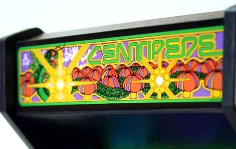 Centipede Artwork