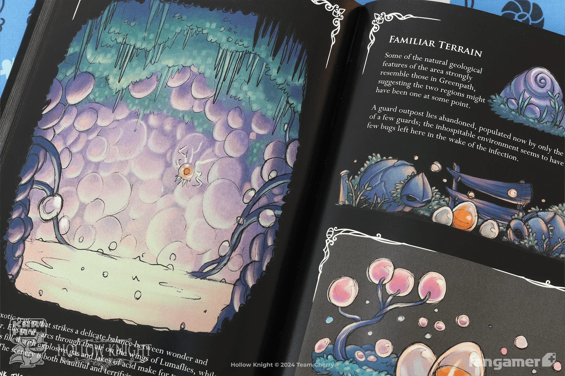 Hollow Knight Wanderer's Journal