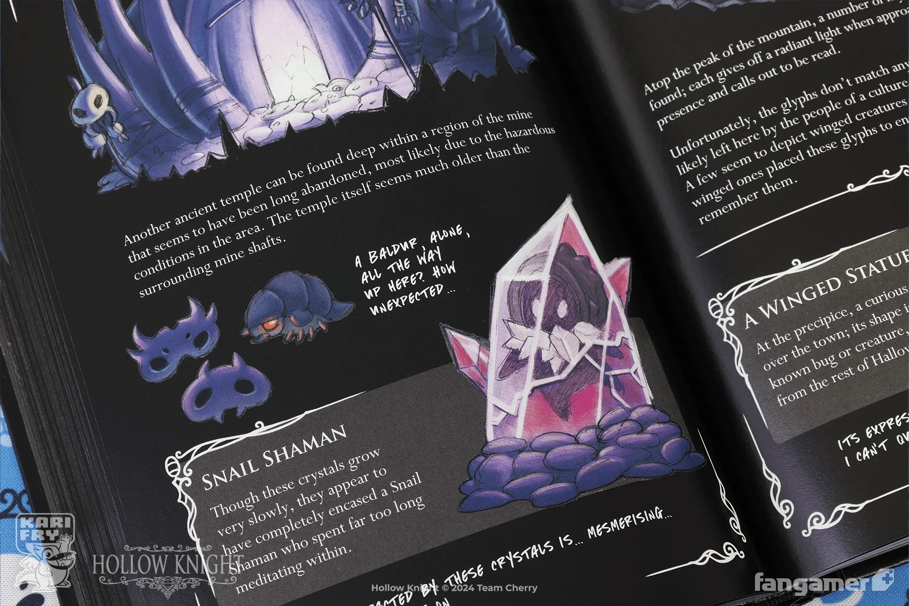 Hollow Knight Wanderer's Journal