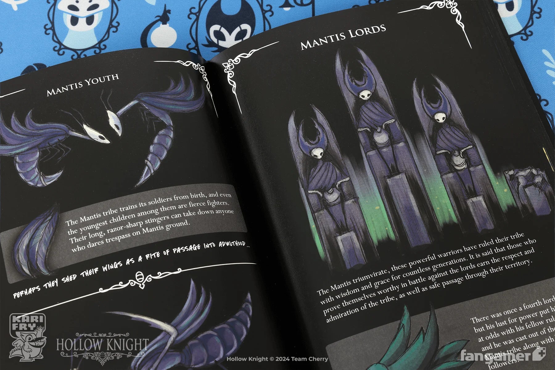 Hollow Knight Wanderer's Journal