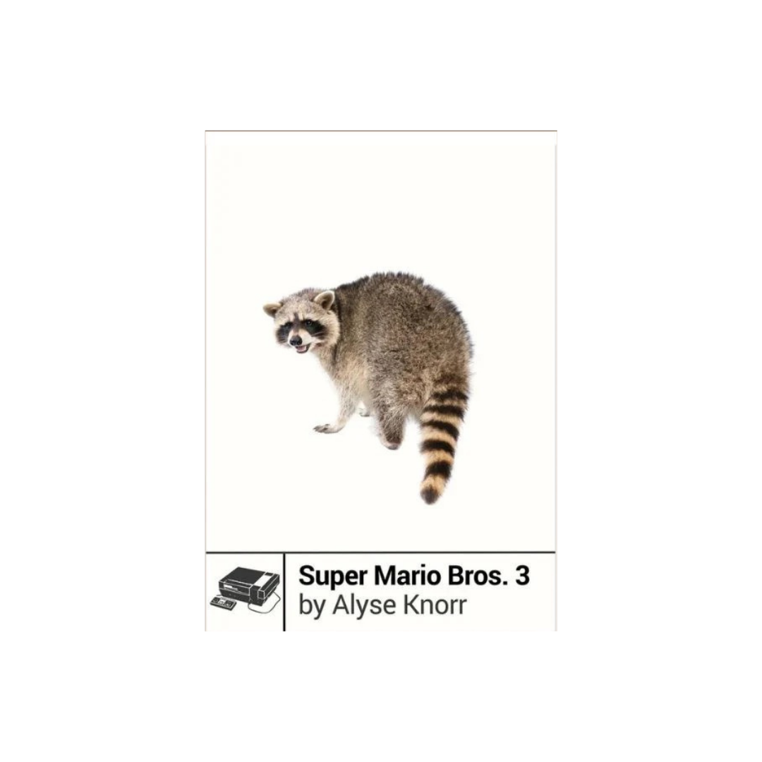 Super Mario Bros. 3 by Alyse Knorr