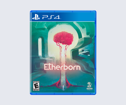 Etherborn (Playstation 4 Physical Edition)