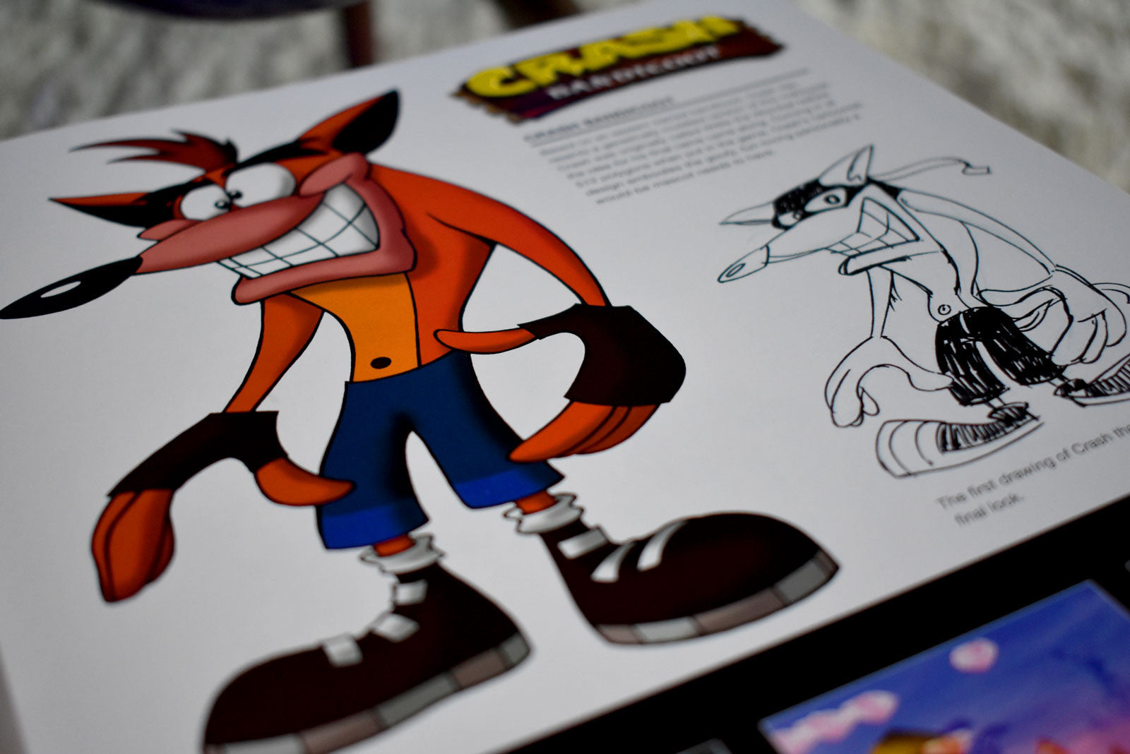 Naughty Dog Book crash bandicoot art